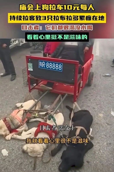 点击查看原图 11.jpg