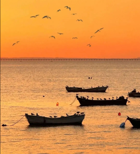 张弘丨短箫与长笛（12）