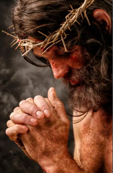 阿杰丨“行为完全”，是什么意思？