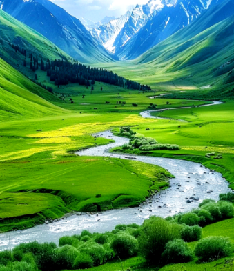 张高秋丨美丽疙疸的哀思