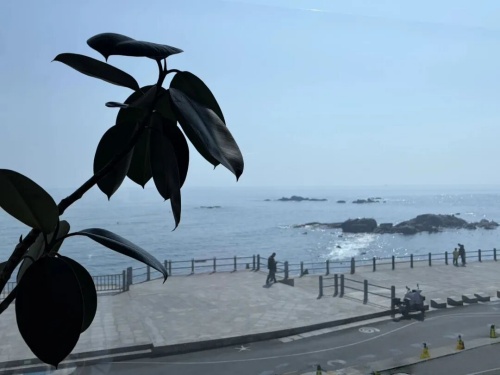 于学周丨鲜花应暖老情怀——写在丙午正月欢聚后