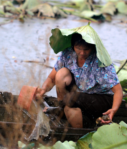 点击查看原图 QQ20260326-113210.png