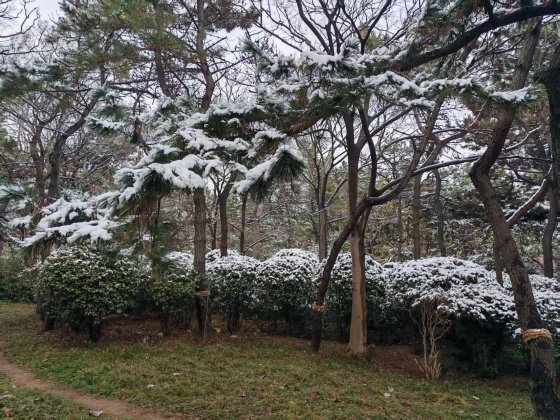 点击查看原图 微信图片_20260318144243_52_111.jpg