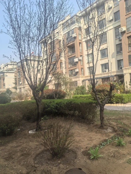 点击查看原图 1.jpg