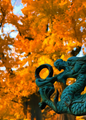 张小曼丨见字如面（二首）