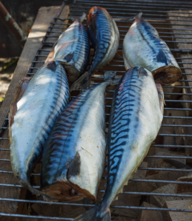 王音丨又下雨了（六首）