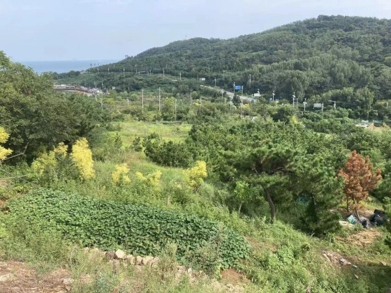 点击查看原图 陆家嘴5.jpg