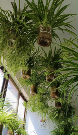 何美鸿丨寻找城市的泥土