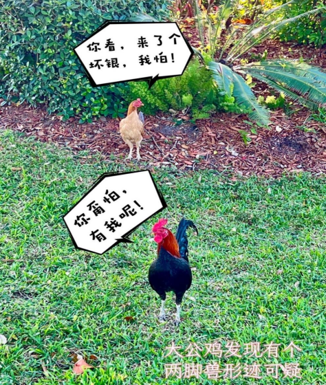 慕容料丨从一张照片看二次元Meta原理（慕容杂谈•创作心得22）