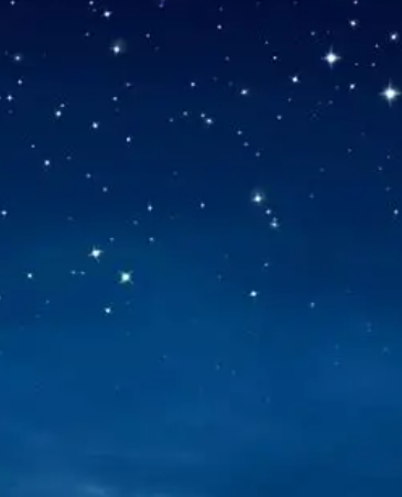 何美鸿丨最后的知己