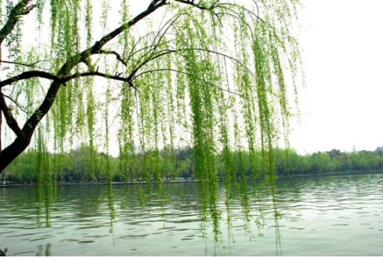 点击查看原图 微信图片_20260531075430_415_208.png