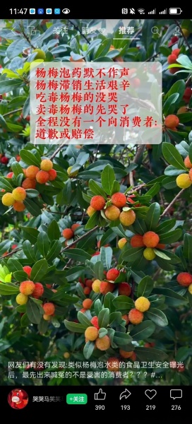 点击查看原图 0526毒杨梅.jpg