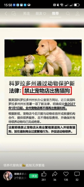 点击查看原图 0526宠物.jpg