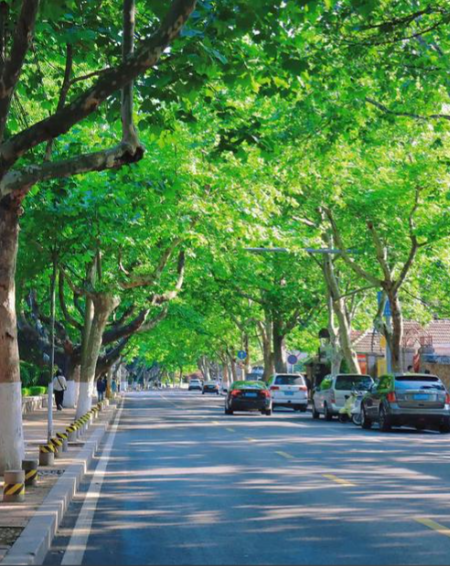 张凡丨忆旧大学路（一）