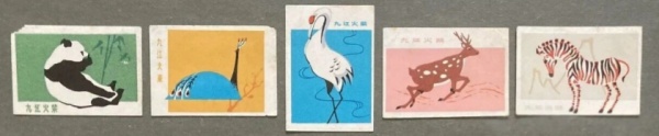 张勇丨浔阳江畔 火花留念（四章）