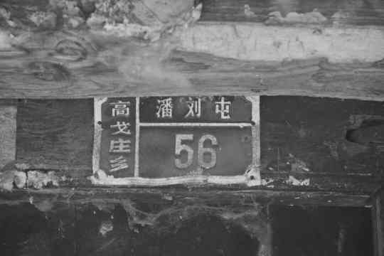 点击查看原图 图片 10.png